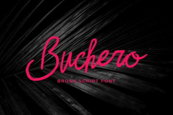 Buchero Script Handwritten Font for Delicate, Cute Design Projects