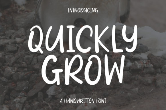 Quickly Grow: A Script Handwritten Font for Warm, Readable Editorial Design